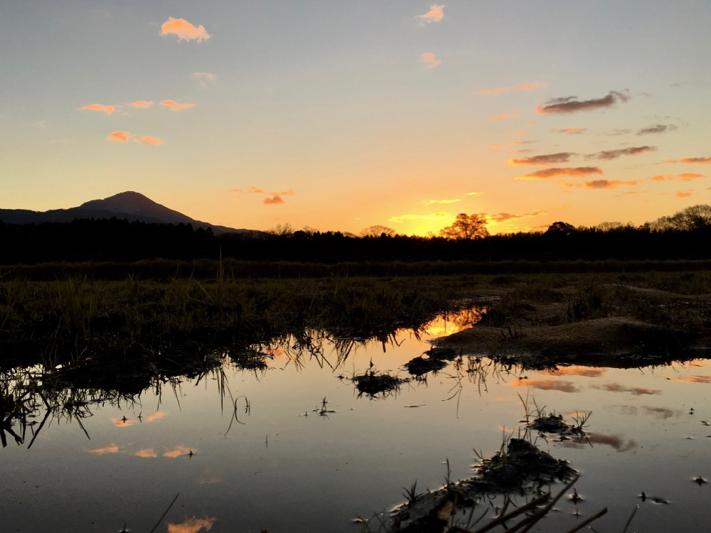 日の出直前の伊吹山と田んぼ20181213