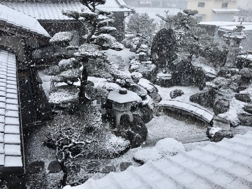 26日午後の雪