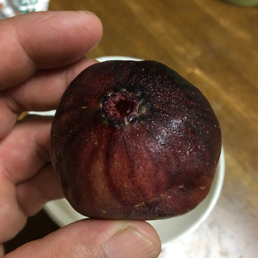 イチジク1