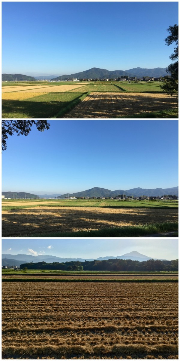 今朝の空20190814