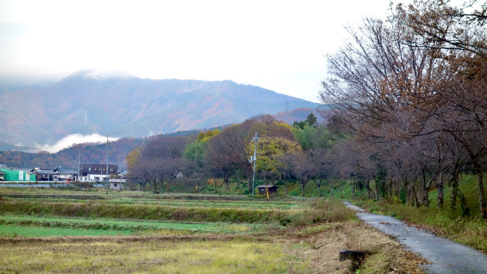 朝の散歩道と天吉寺山にも雪