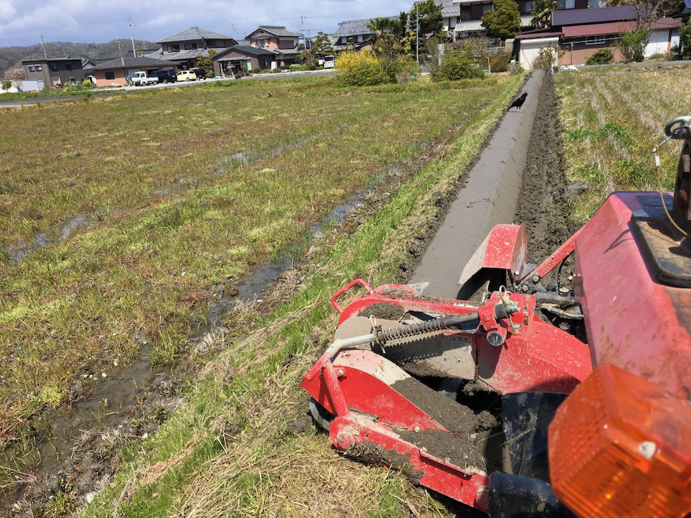雨上がりの今朝の畔塗り
