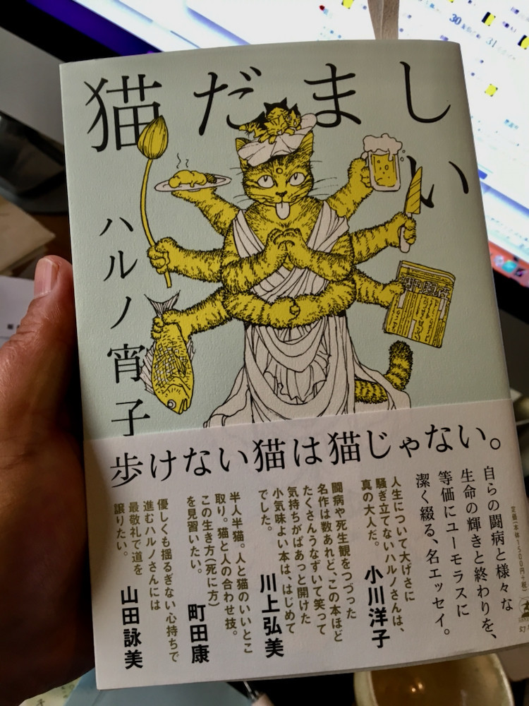 うらのアジサイ