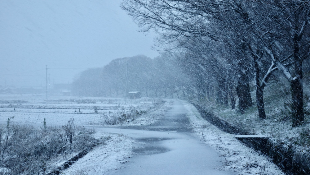 今朝の雪20201215-1