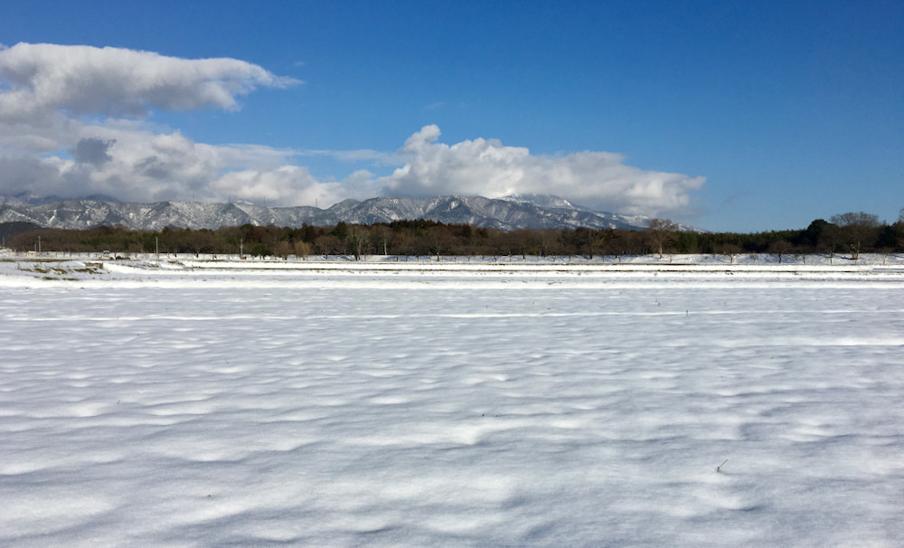 雲に隠れて伊吹山は見えず20210219