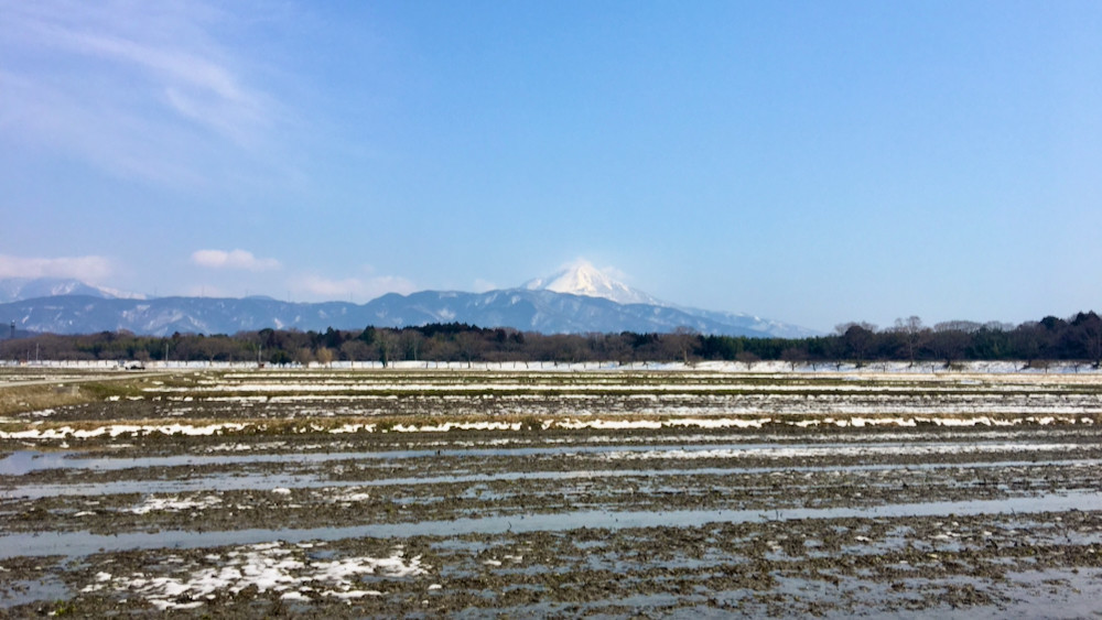 今日は伊吹山が見えたが、田んぼの雪はどんどん解けてきている20210220