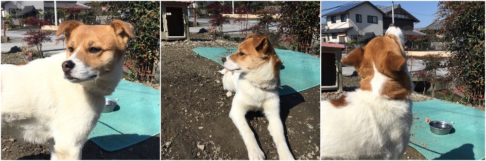 早春の陽射しに目を細めるビビ号