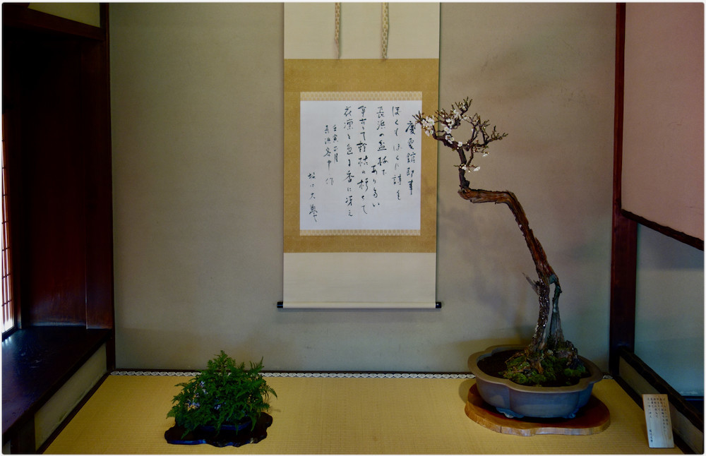 盆梅展 堀口大学の軸