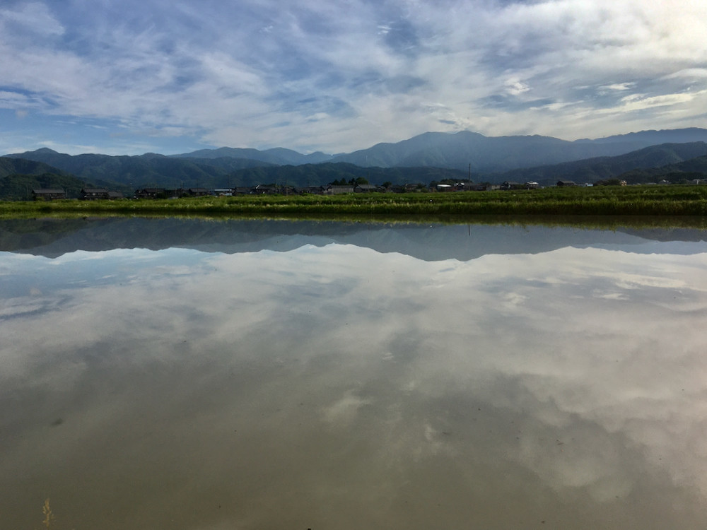 明日田植えする予定の圃場20210605