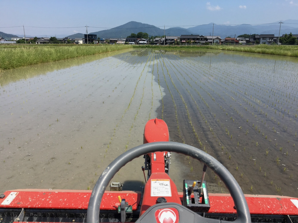 中耕除草機からの景色