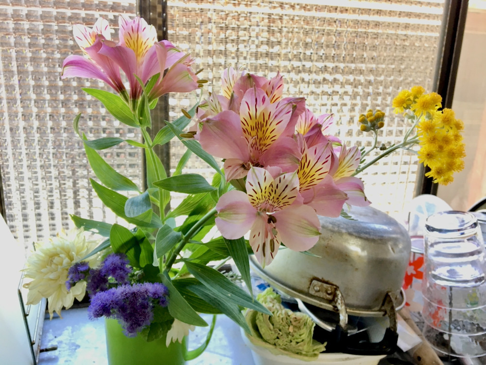 台所の花