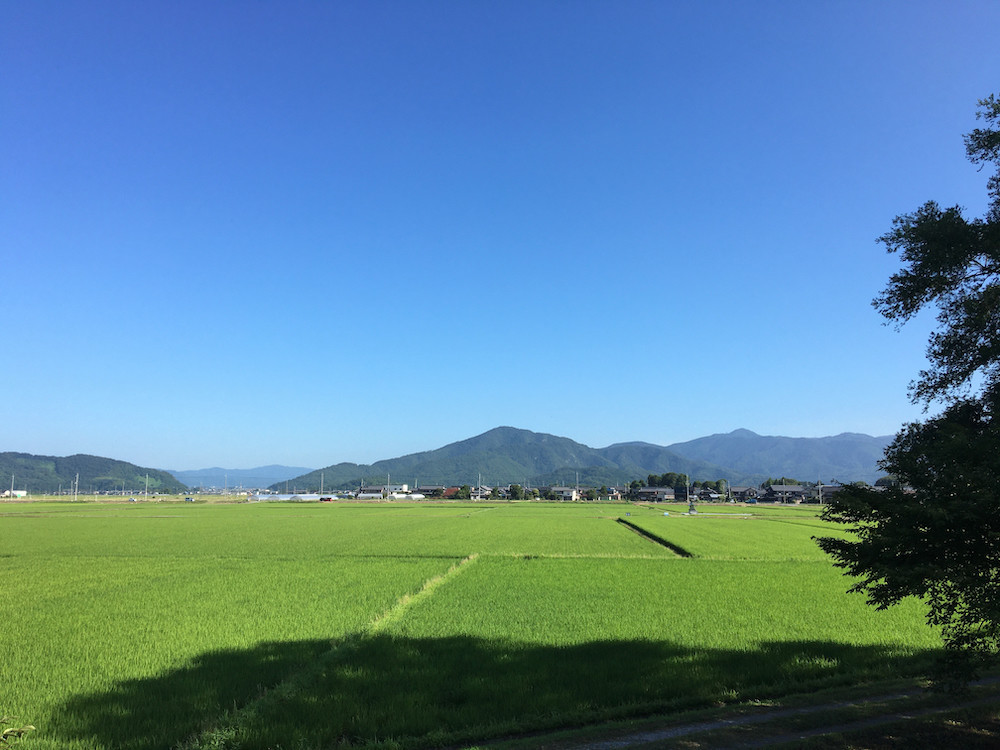 夏の朝20210719-2