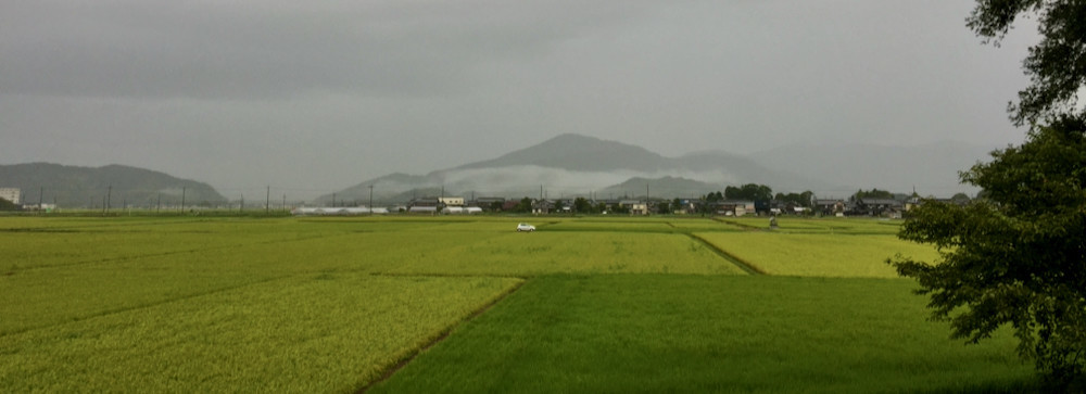 雨の朝20210818