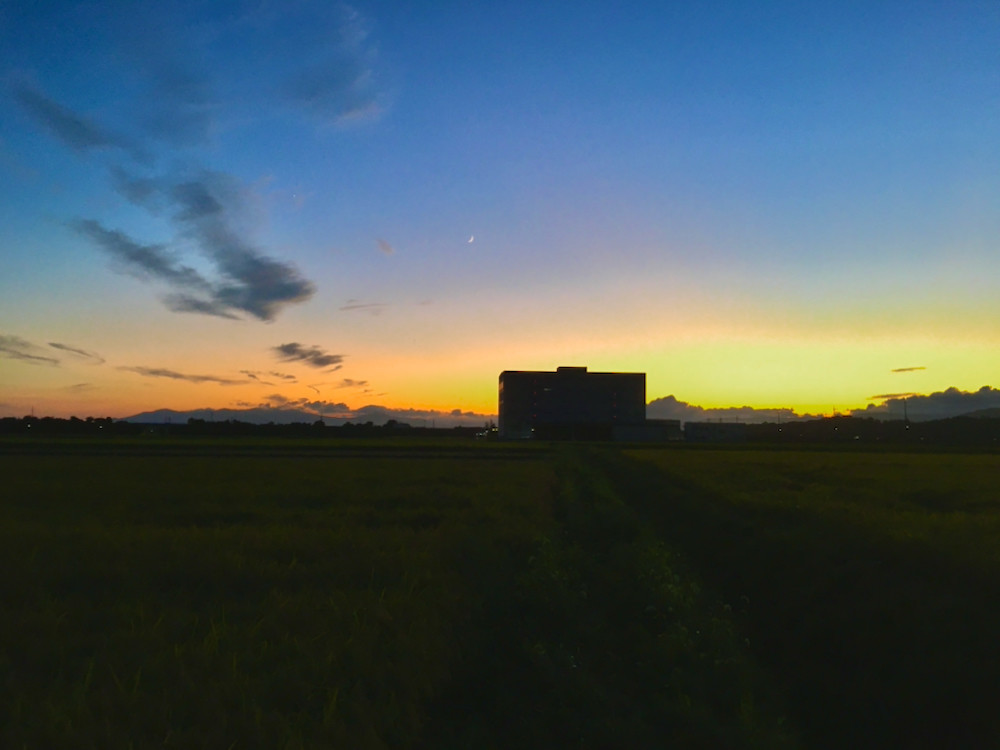 夕暮れの田んぼと三日月