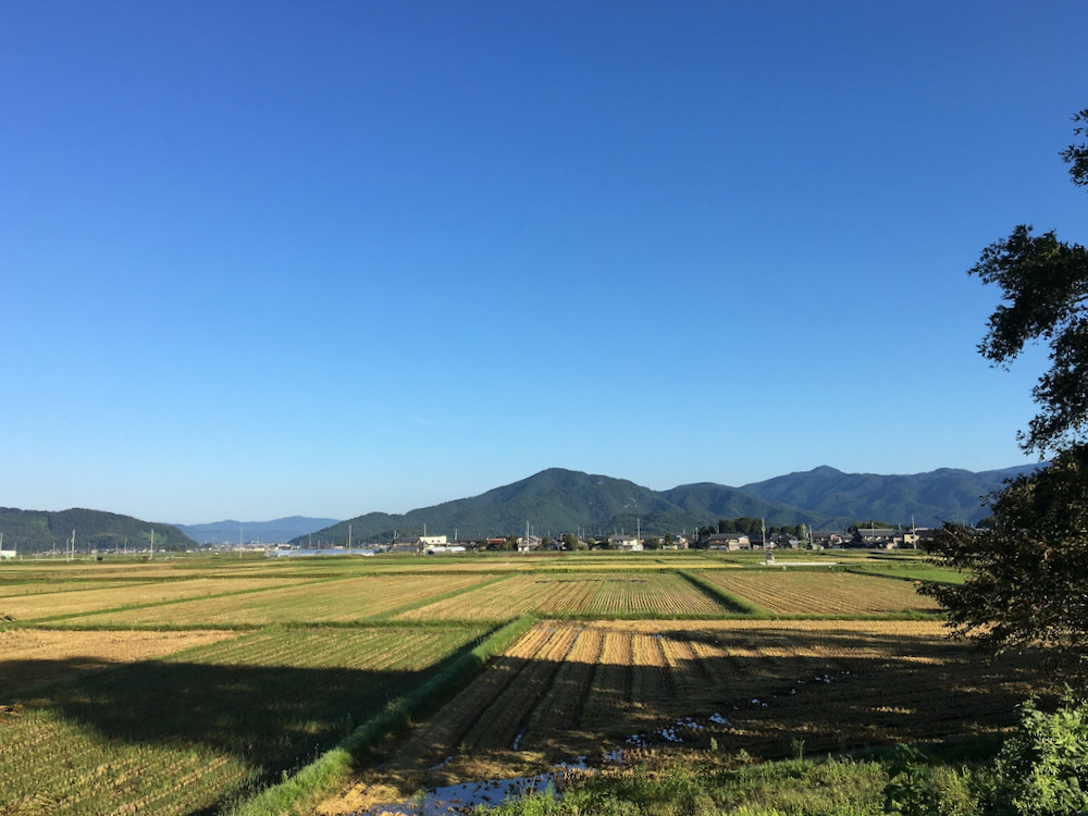 快晴の朝1