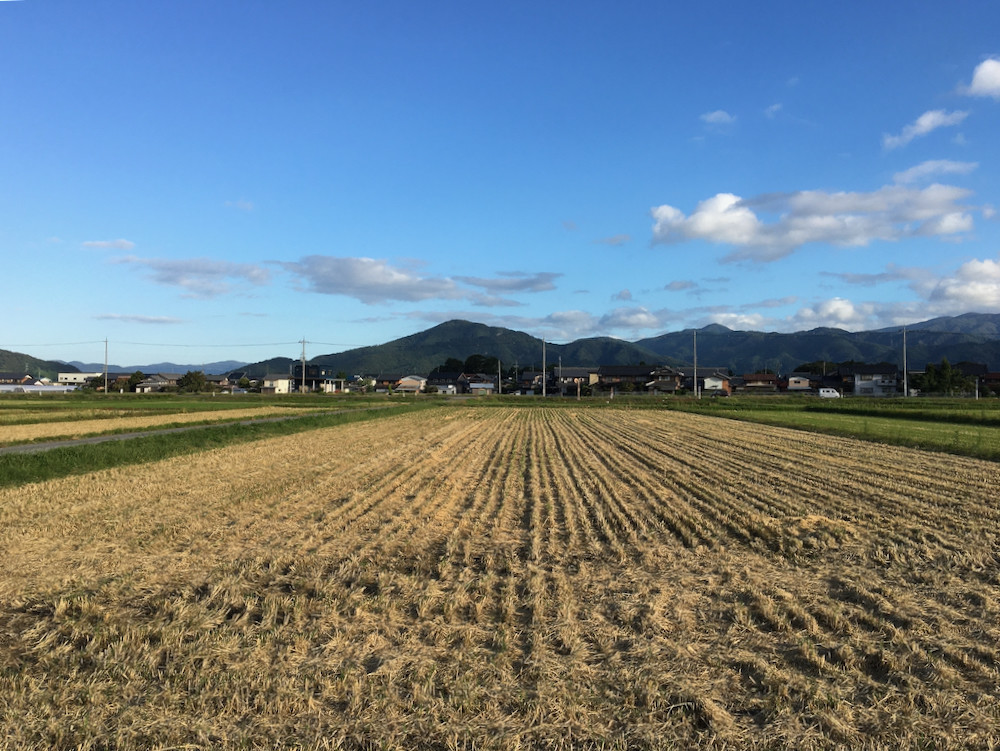 ビビ号との散歩の朝1