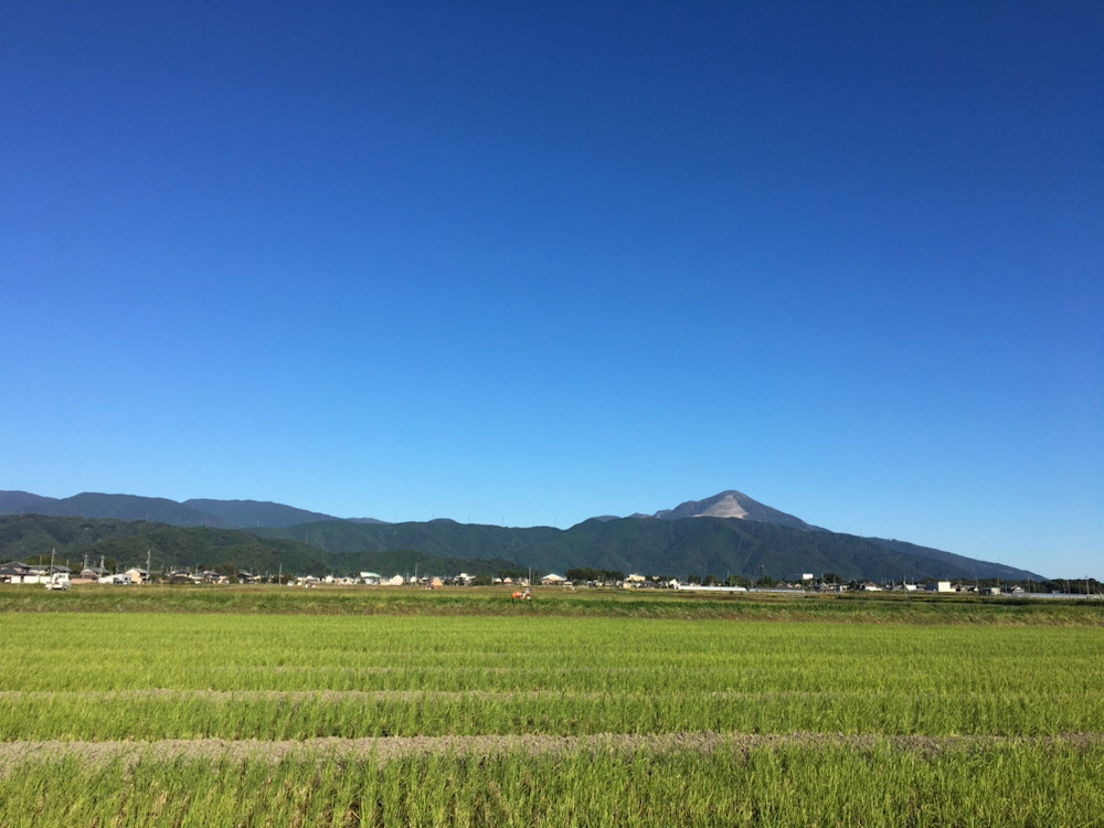快晴のもと溝切り この写真ではよくわかりませんが、この画角の中に4台のトラクタが動いていました。