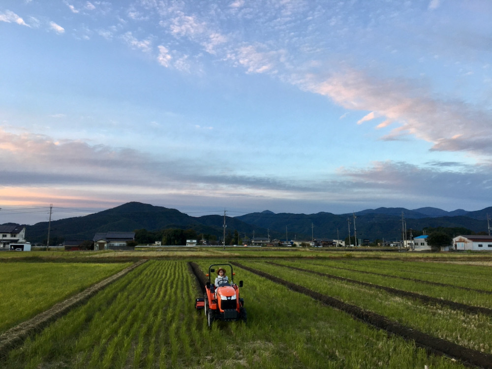 日没まで溝切り