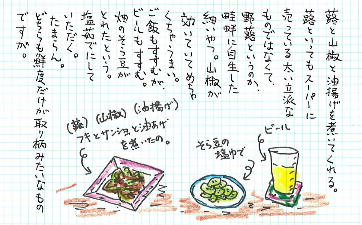 蕗と山椒と油揚げのたいたの。空豆の塩ゆで。ビール。 蕗と山椒と油揚げを煮てくれる。蕗といってもスーパーに売っている太い立派なものではなくて、野蕗というのか、畦畔に自生した細いやつ。山椒が効いていて、めちゃくちゃうまい。ご飯もすすむが、ビールもすすむ。畑の空豆が収穫できたという。塩ゆでにしていただく。たまらん。どちらも鮮度だけが取り柄みたいなものですが。