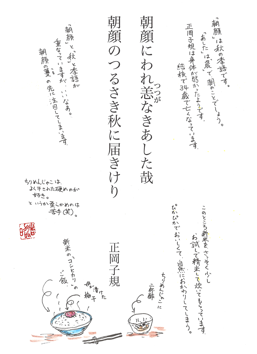 朝顔にわれ恙なきあした哉 朝顔のつるさき秋に届きけり 正岡子規