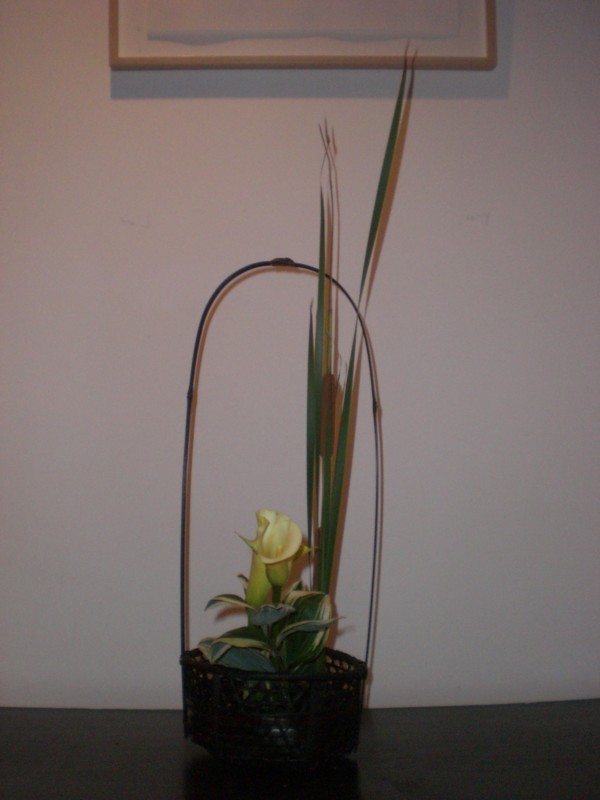 20090716022742