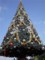 20091222142305