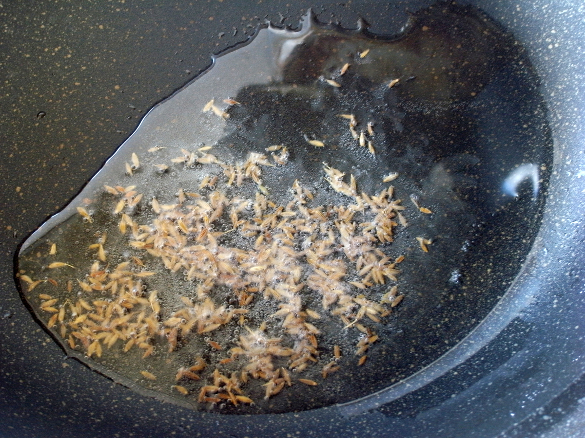 f:id:tsujimeshi:20200219113814j:plain f:id:tsujimeshi:20200219113814j:plain