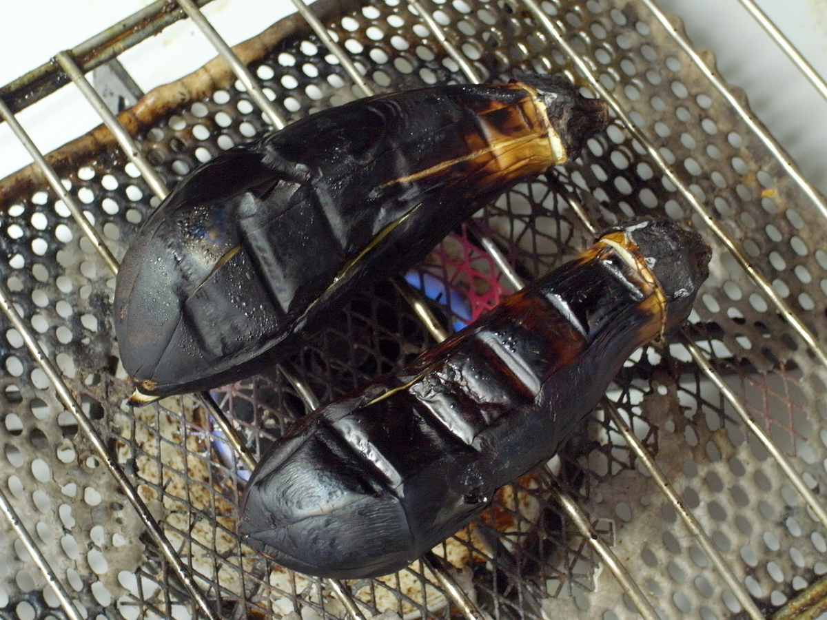 f:id:tsujimeshi:20200708134347j:plain f:id:tsujimeshi:20200708134347j:plain