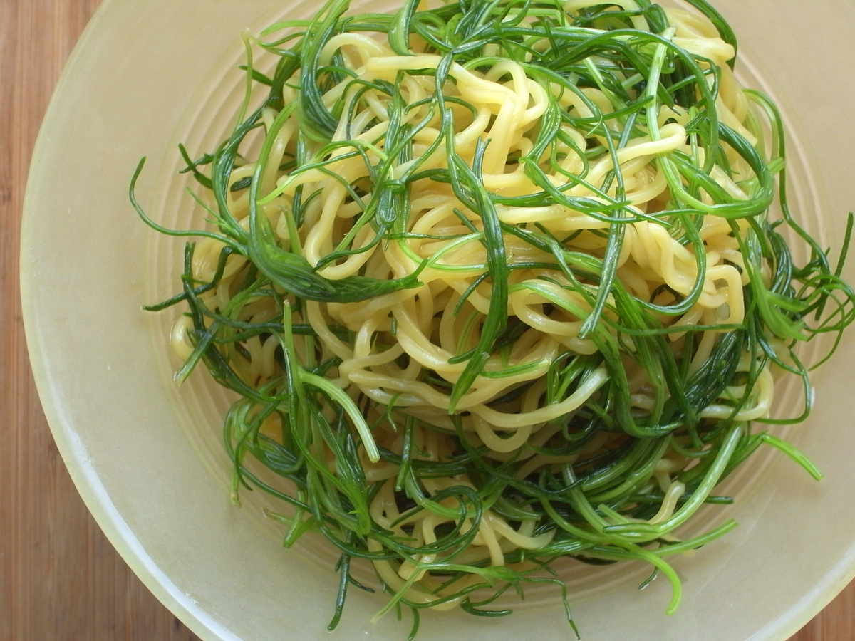 f:id:tsujimeshi:20210611162631j:plain