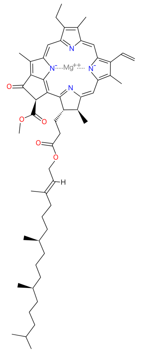 f:id:tsujimotter:20210720224457p:plain:w200