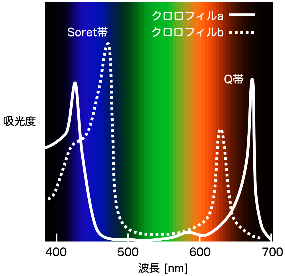 f:id:tsujimotter:20210721000112p:plain:w360