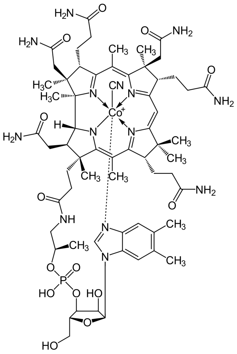 f:id:tsujimotter:20210721144122p:plain:w320
