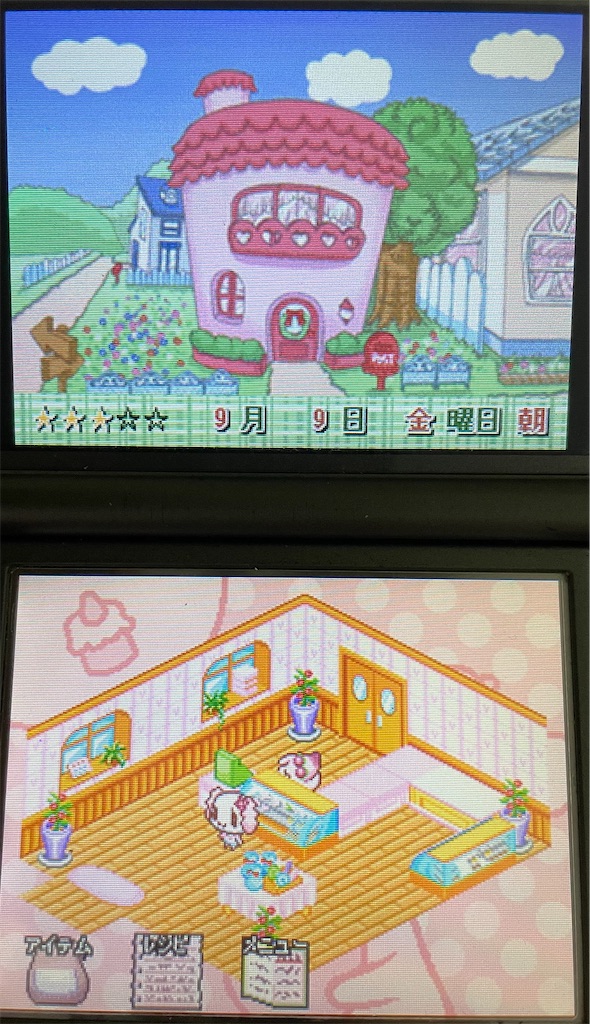 チョコ犬のお店#3】秋冬は寝るコマンドを連打するパティシエの屑