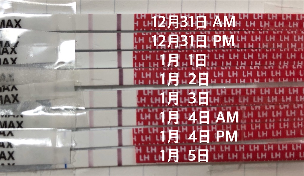 D47 排卵検査薬が濃くなったり薄くなったり 3人目の不妊治療記録