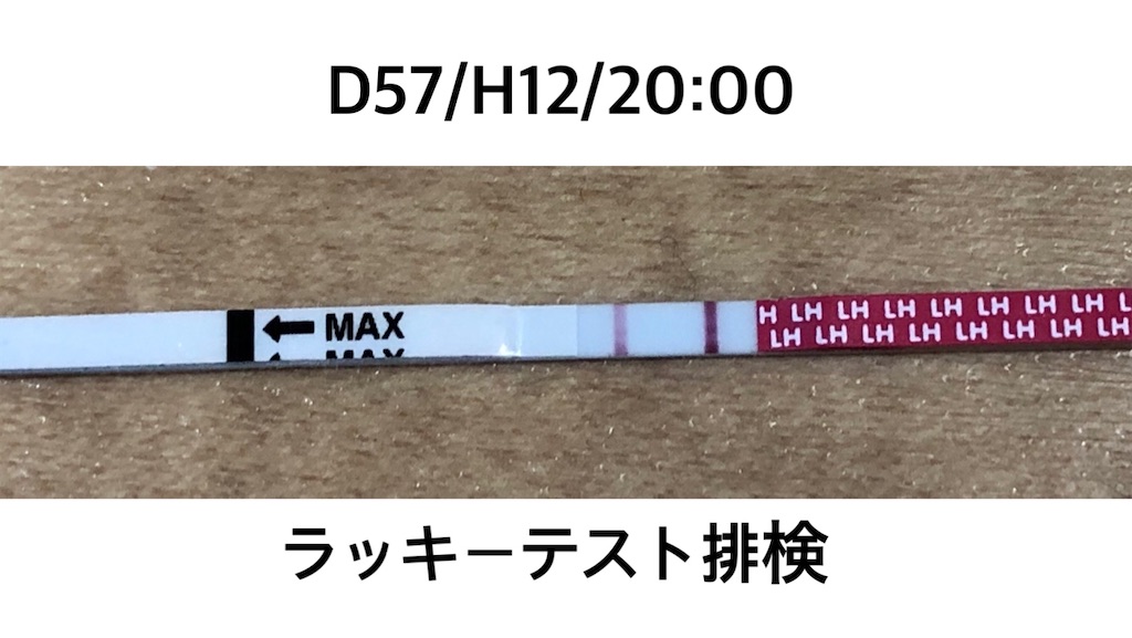 f:id:tsukaayu:20200812205058j:image f:id:tsukaayu:20200812205058j:image