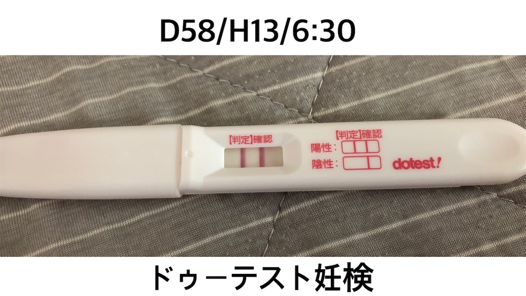 f:id:tsukaayu:20200814223717j:image f:id:tsukaayu:20200814223717j:image