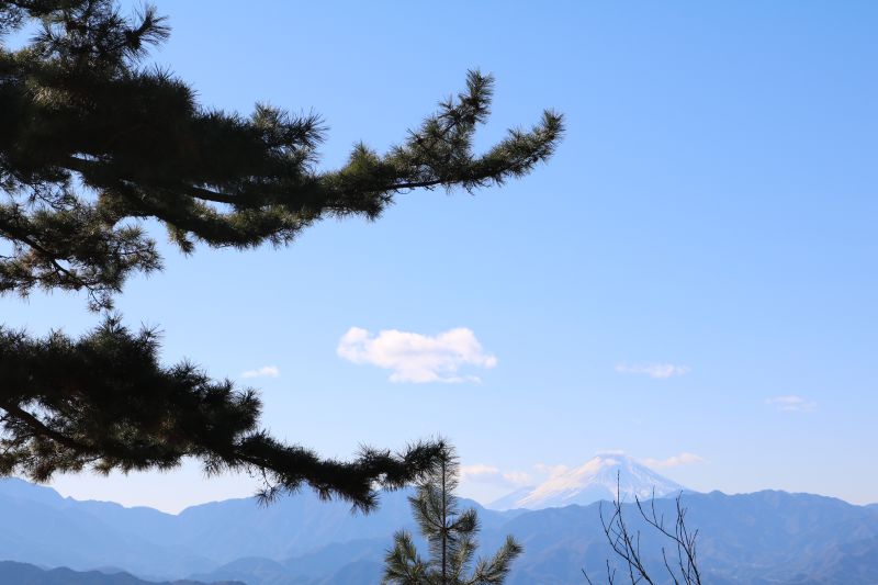 f:id:tsukasa5543:20180108215931j:plain f:id:tsukasa5543:20180108215931j:plain