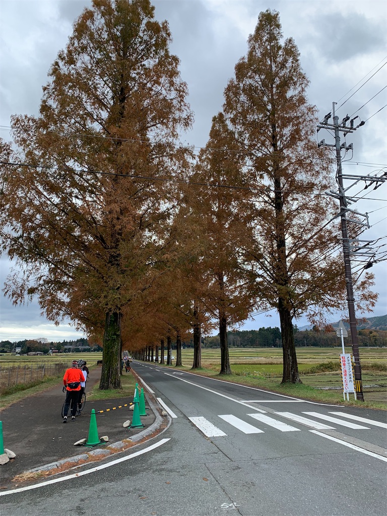 f:id:tsuki_mecha:20201124203025j:image