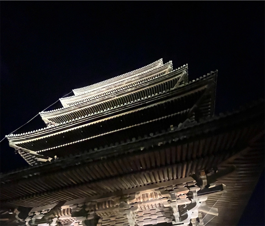 f:id:tsukicat_365:20230520190507j:image