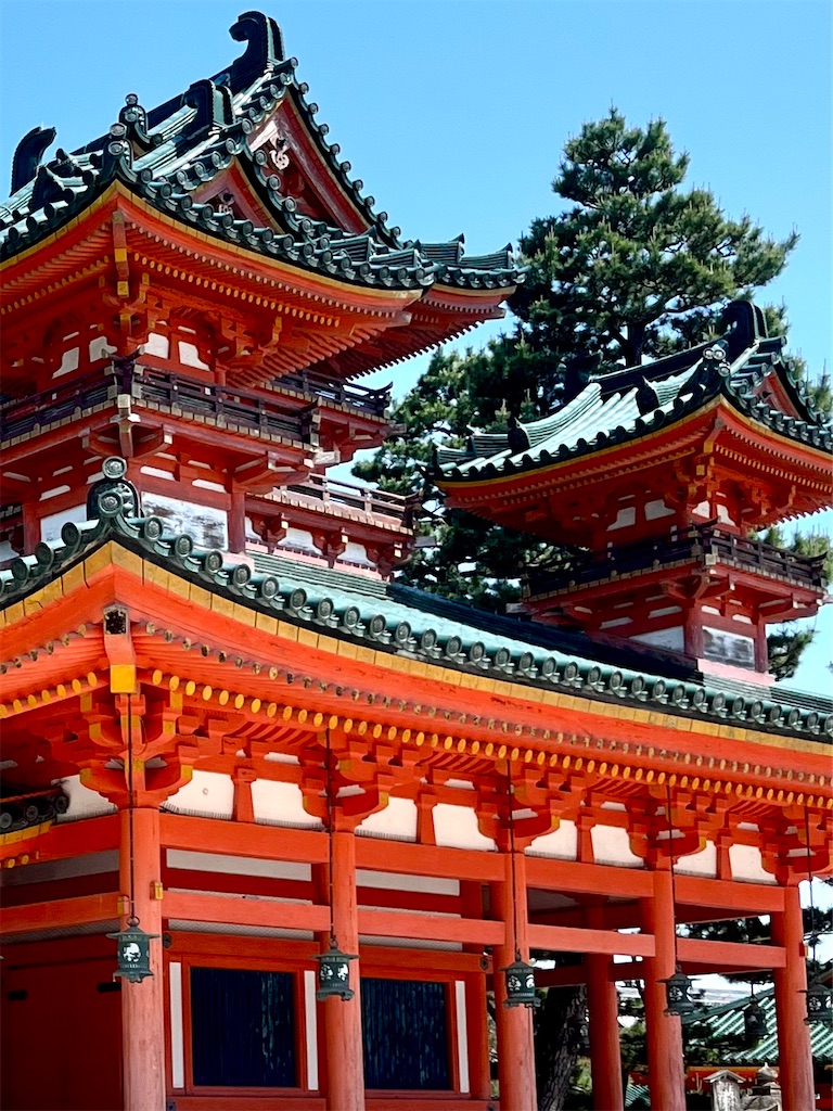 f:id:tsukicat_365:20230525095056j:image