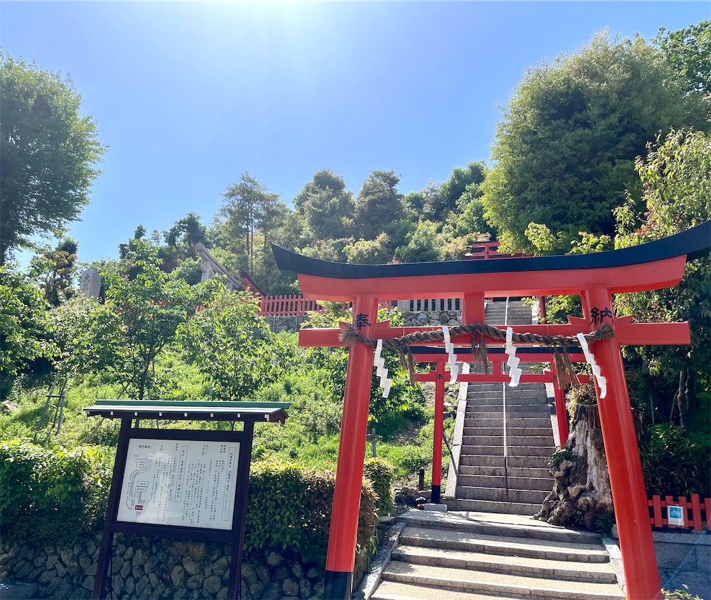 f:id:tsukicat_365:20230603140028j:image