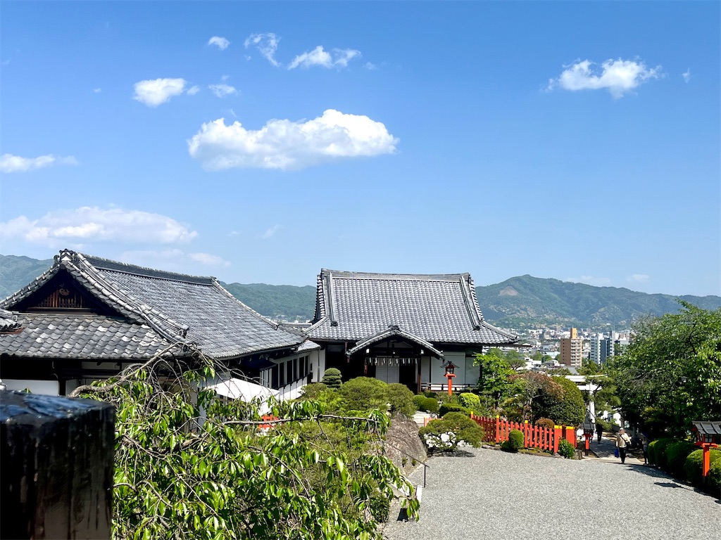 f:id:tsukicat_365:20230603142023j:image