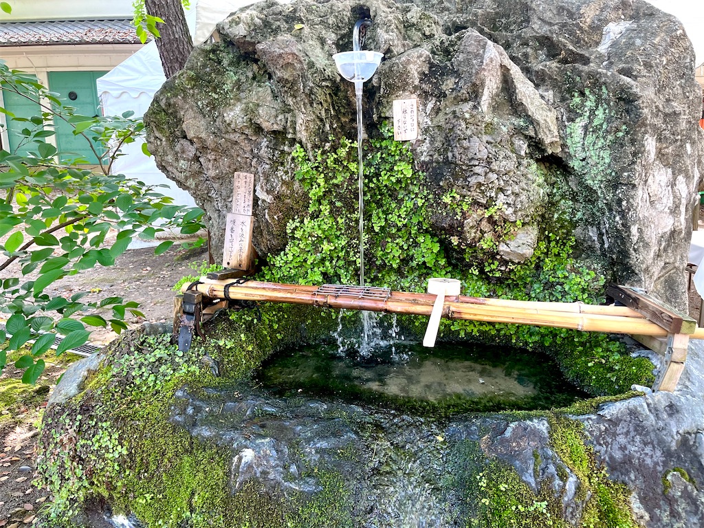 f:id:tsukicat_365:20230609231131j:image