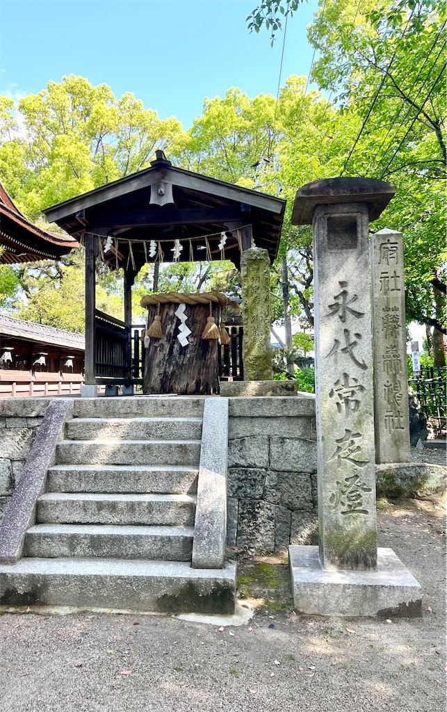 f:id:tsukicat_365:20230609234011j:image