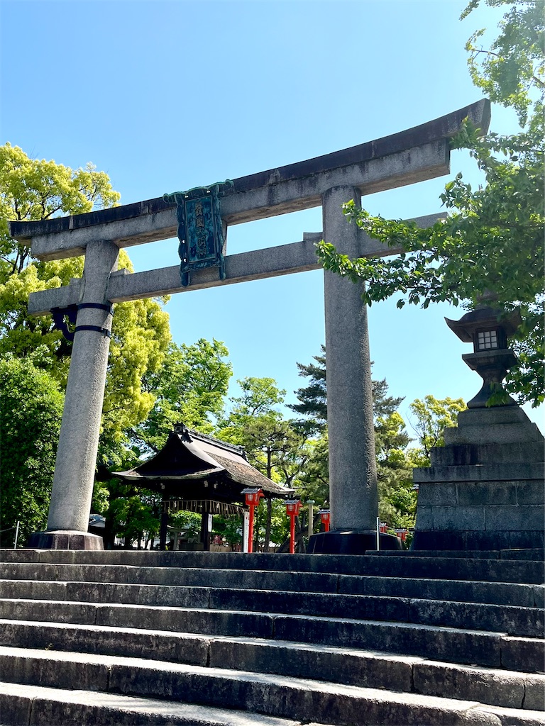 f:id:tsukicat_365:20230623100901j:image