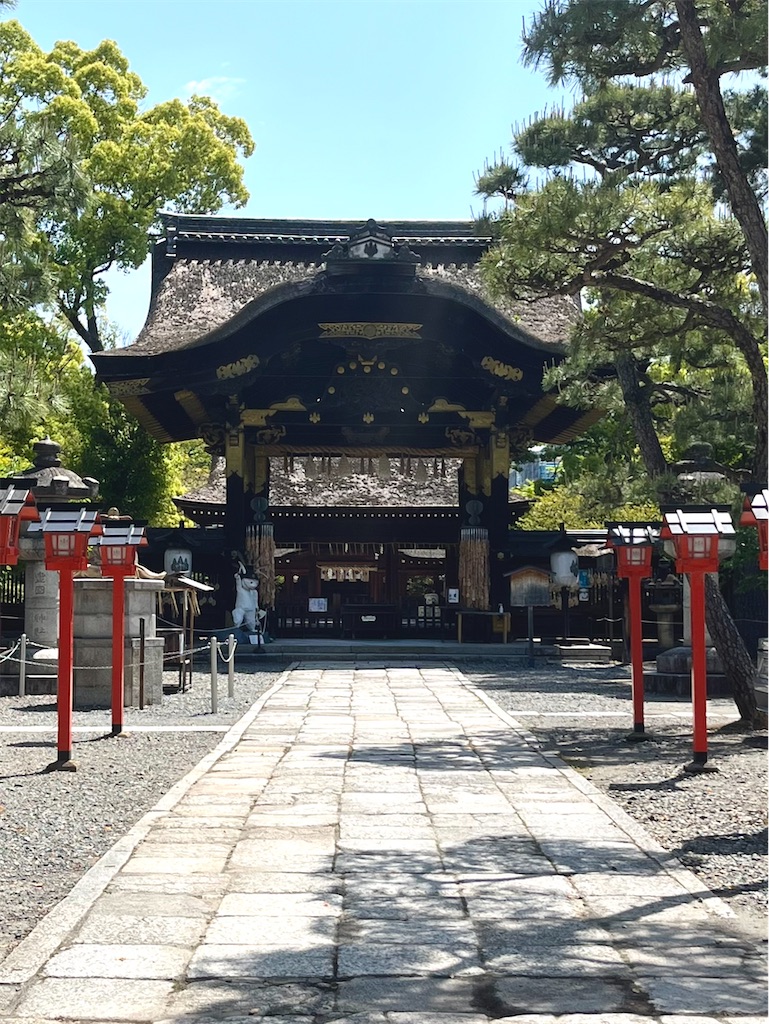 f:id:tsukicat_365:20230623101002j:image