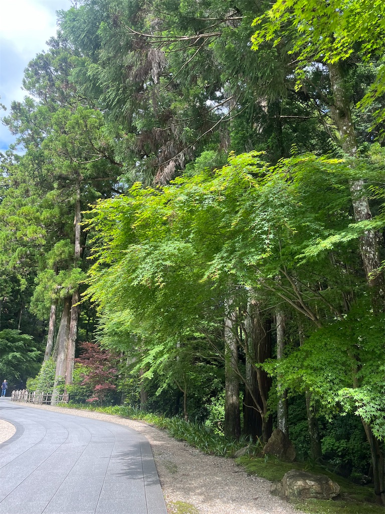 f:id:tsukicat_365:20230914220543j:image