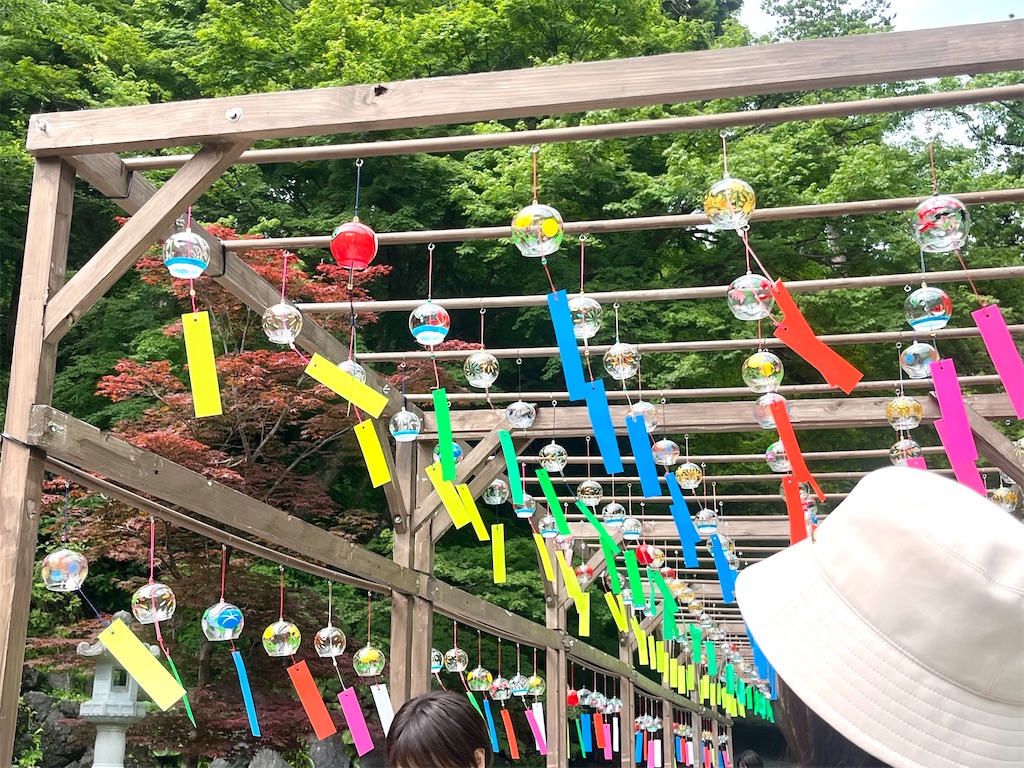 f:id:tsukicat_365:20230914220910j:image