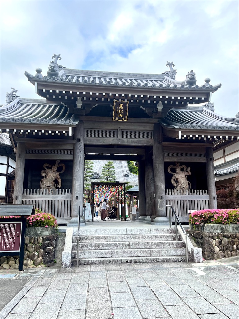 f:id:tsukicat_365:20230925222936j:image