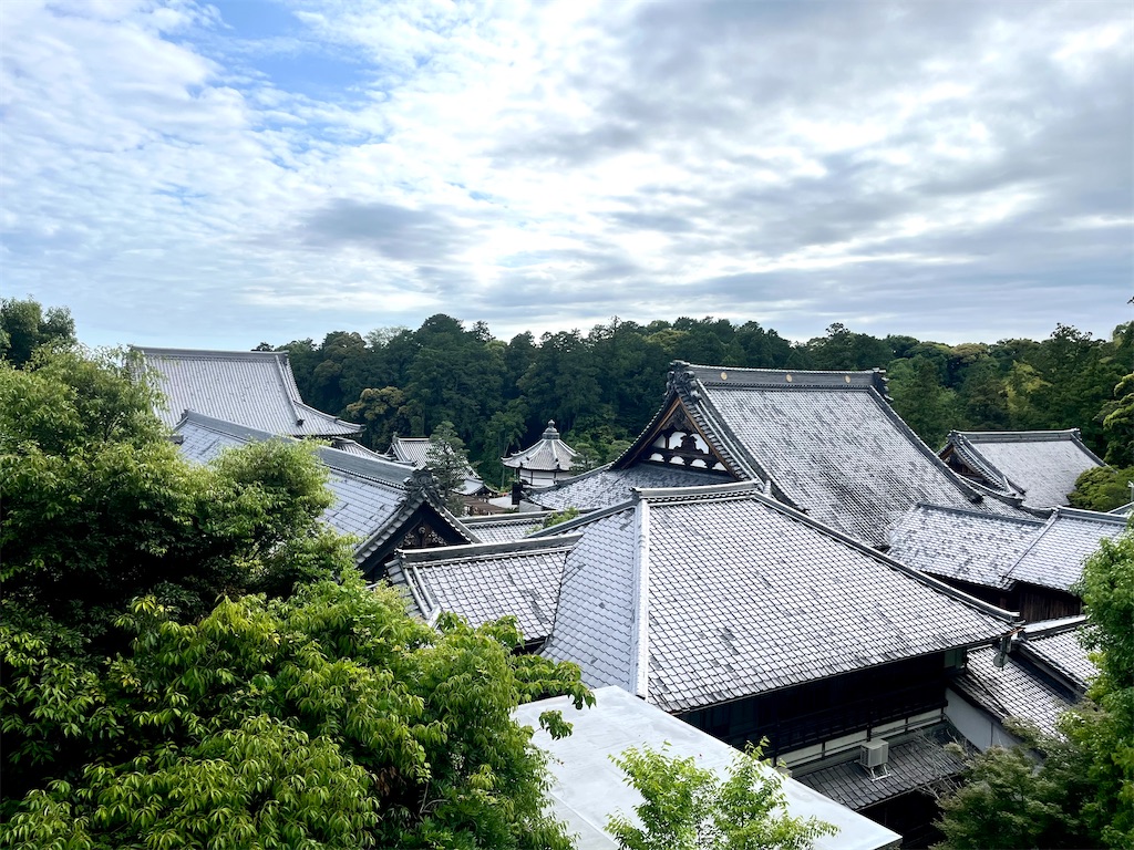 f:id:tsukicat_365:20230925224155j:image